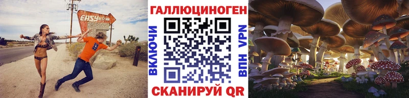 Галлюциногенные грибы прущие грибы  Дрезна 